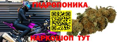 мяу мяу мука Ипатово