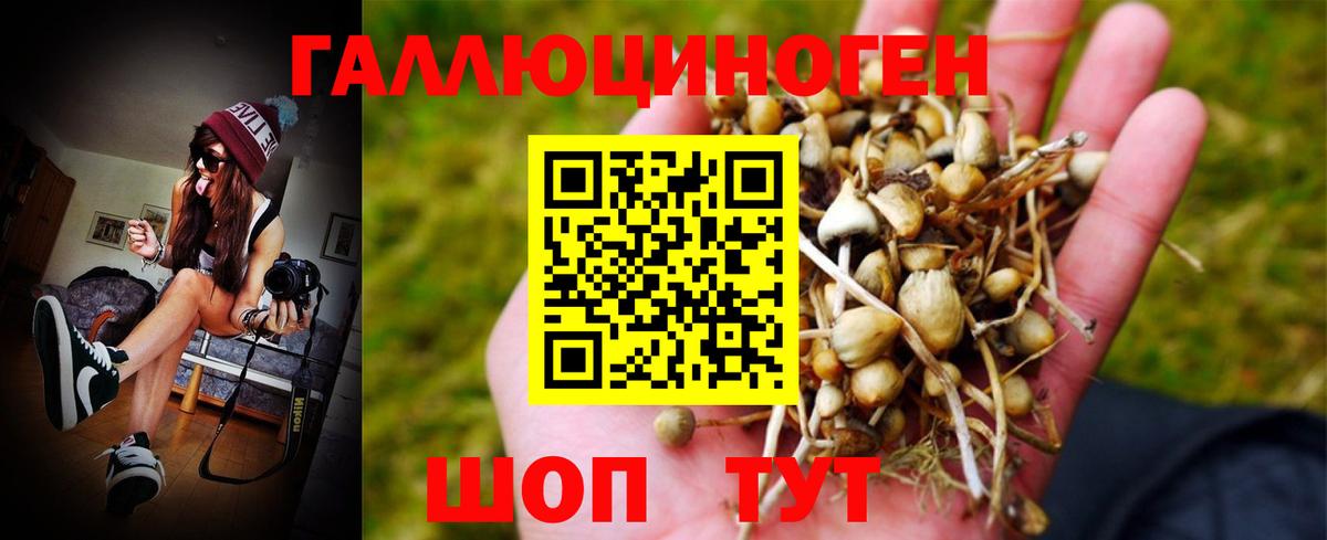 Псилоцибиновые грибы ЛСД  Вход с VPN  Дедовск  Псилоцибиновые грибы Magic Shrooms 