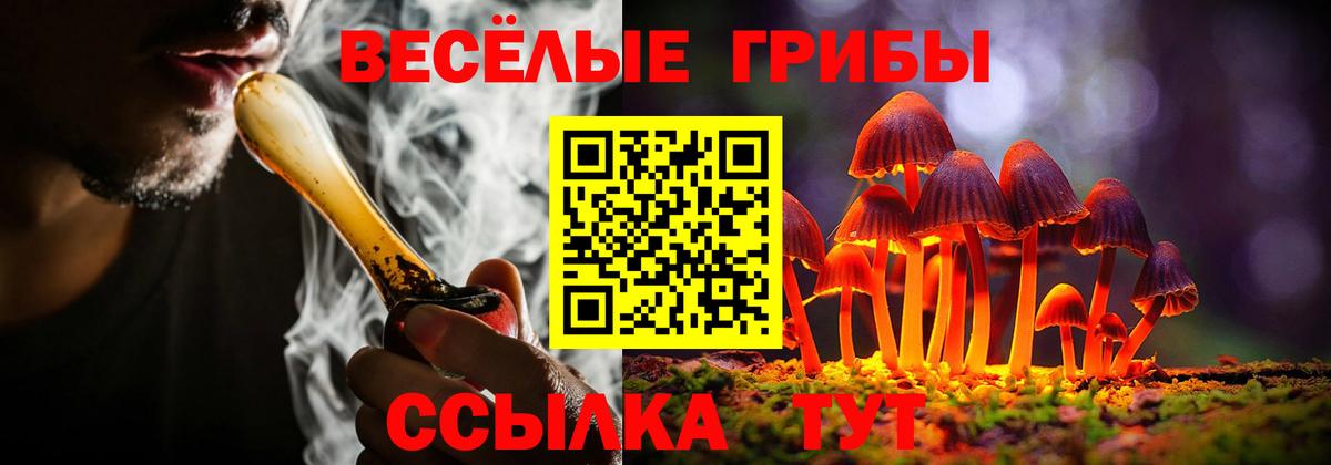 Псилоцибиновые грибы Дедовск